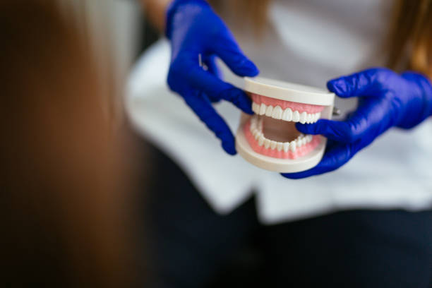 Best Preventive Dentistry  in Rkesburg, PA
